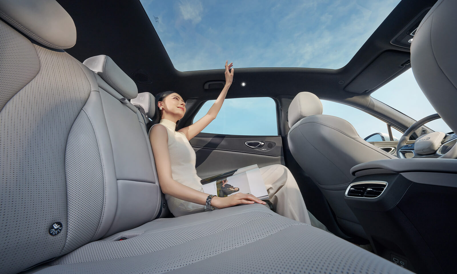 Панорамный козырек